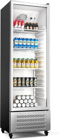 Réfrigérateur à Boissons Klarstein 306 L - Vitrine avec Porte Double Vitrage, Éclairage LED, Thermostat Régulable, 4 Étagères, Mobilité Facile