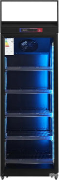 Réfrigérateur à Boissons Subzero, 1 Porte, 498 L, -5°C à +5°C, Éclairage LED Multicolore, Verre Trempé, Pour Hôtellerie