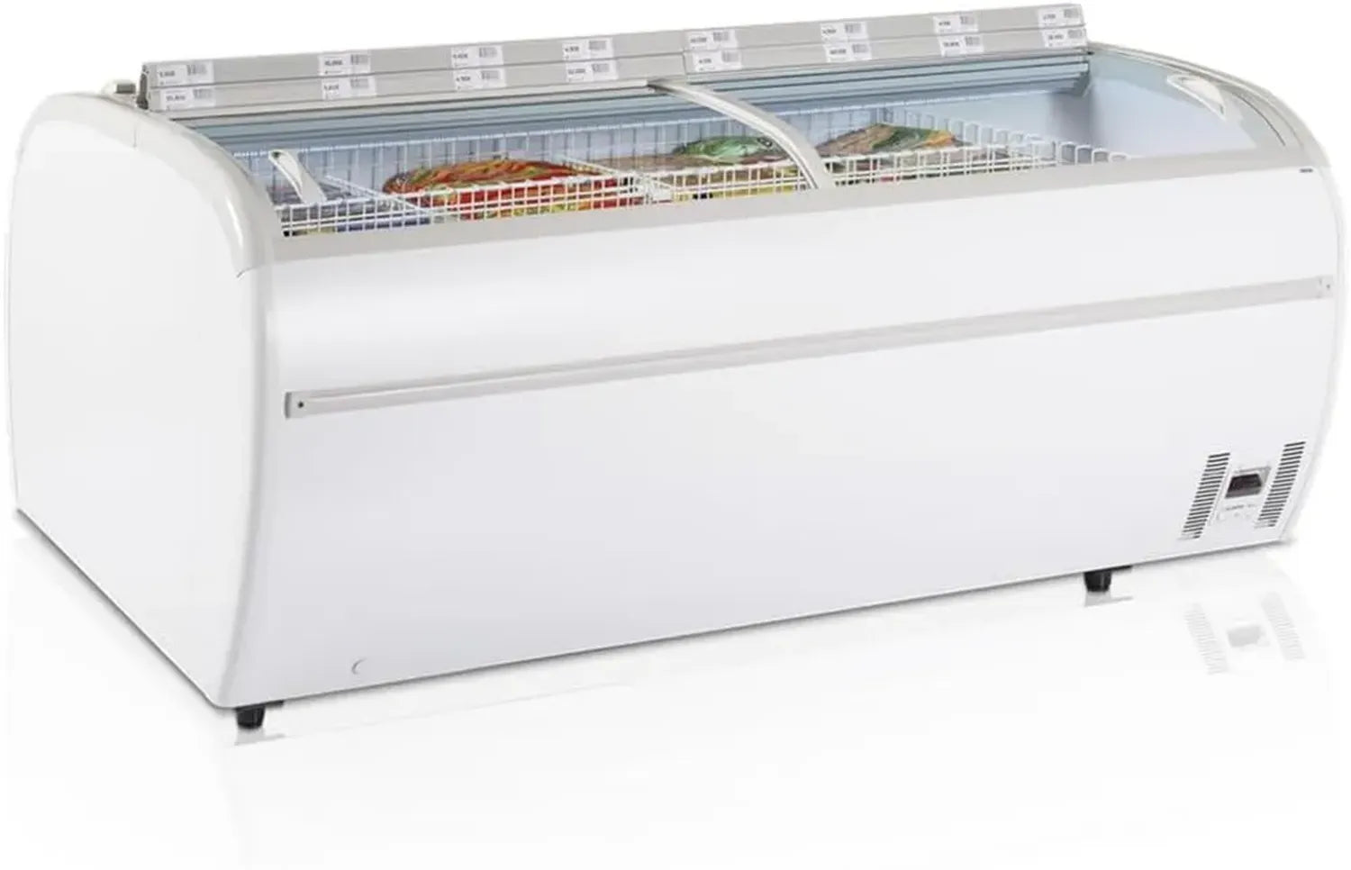 Congélateur Comercial TWIN 220-F - Efficacité et Performance TEFCOLD